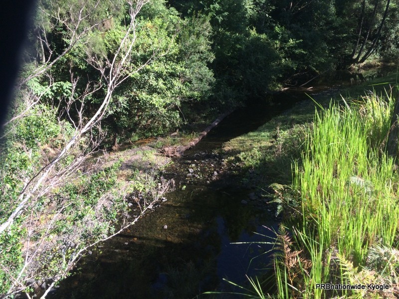 387 Roseberry Creek Road, Kyogle NSW 2474