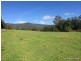 387 Roseberry Creek Road, Kyogle NSW 2474