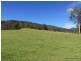 387 Roseberry Creek Road, Kyogle NSW 2474