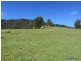 387 Roseberry Creek Road, Kyogle NSW 2474