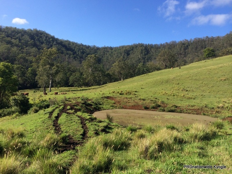 387 Roseberry Creek Road, Kyogle NSW 2474