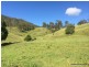 387 Roseberry Creek Road, Kyogle NSW 2474
