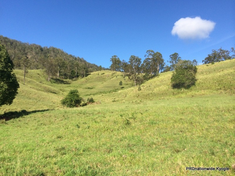 387 Roseberry Creek Road, Kyogle NSW 2474