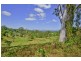 1184 Williams Road, Lillian Rock Via, Kyogle NSW 2474