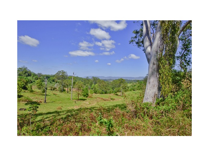 1184 Williams Road, Lillian Rock Via, Kyogle NSW 2474