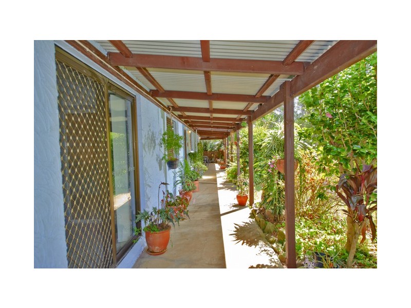 1184 Williams Road, Lillian Rock Via, Kyogle NSW 2474