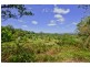 1184 Williams Road, Lillian Rock Via, Kyogle NSW 2474