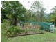 1184 Williams Road, Lillian Rock Via, Kyogle NSW 2474
