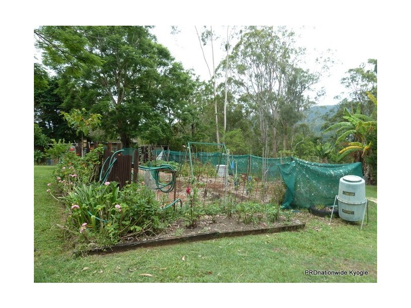 1184 Williams Road, Lillian Rock Via, Kyogle NSW 2474
