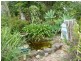 1184 Williams Road, Lillian Rock Via, Kyogle NSW 2474