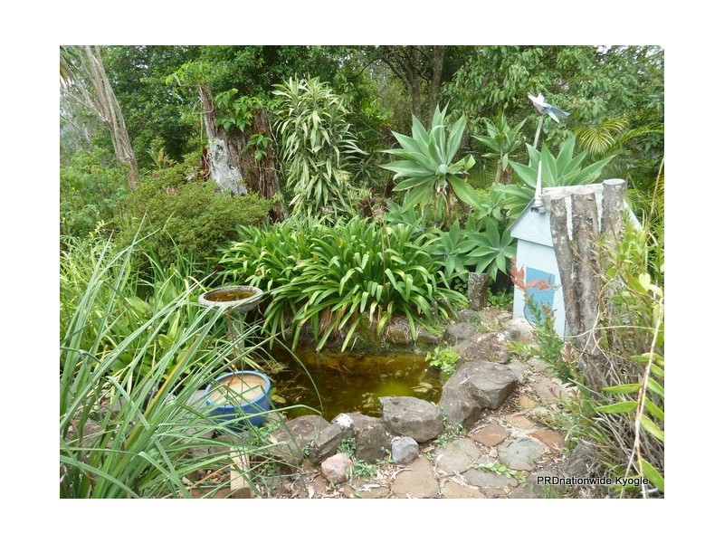 1184 Williams Road, Lillian Rock Via, Kyogle NSW 2474
