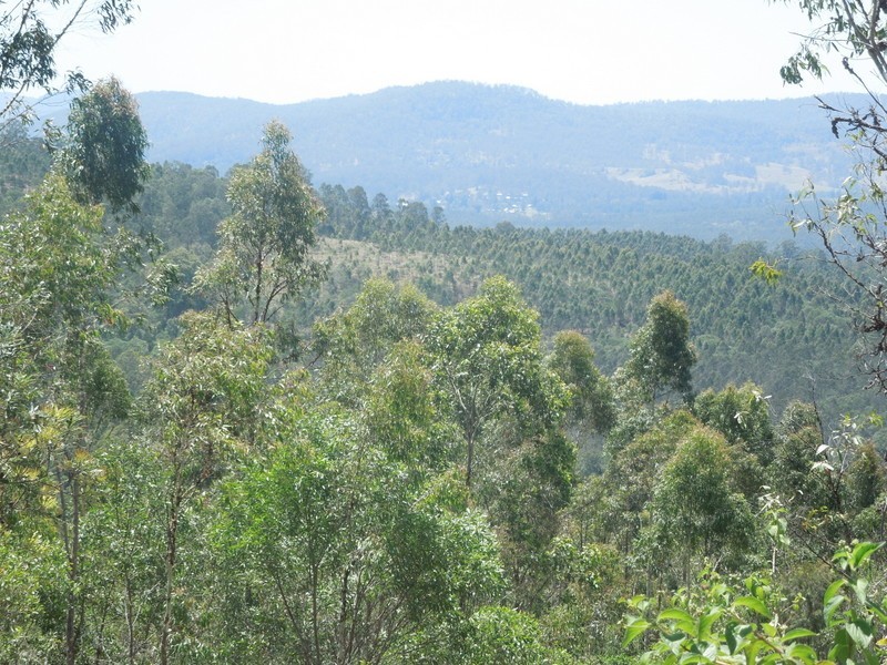 529 Farm Rd, Bonalbo NSW 2469