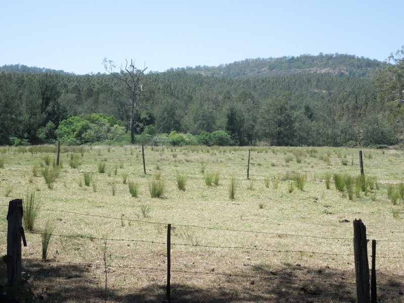 529 Farm Rd, Bonalbo NSW 2469