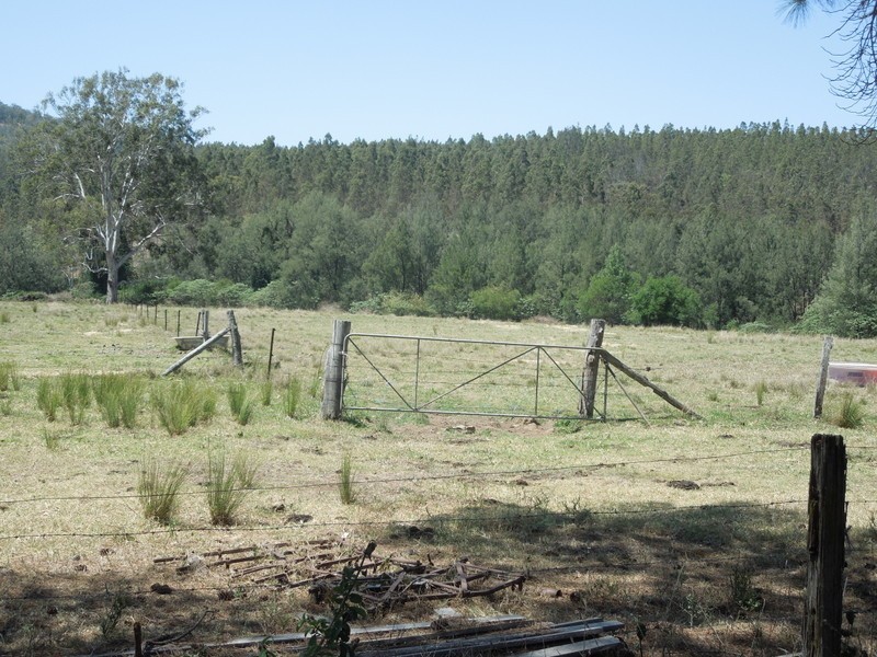 529 Farm Rd, Bonalbo NSW 2469