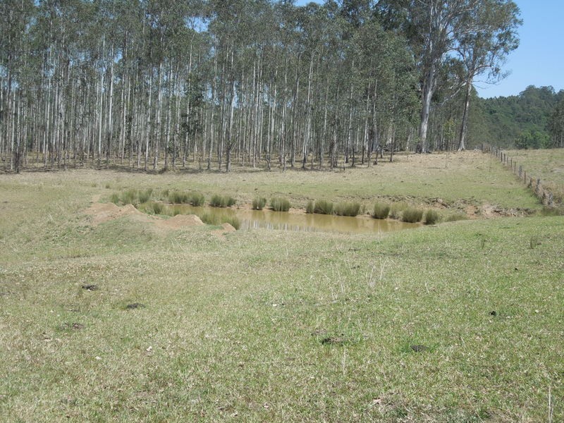 529 Farm Rd, Bonalbo NSW 2469