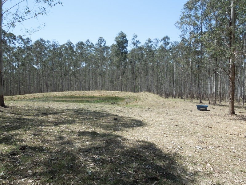 529 Farm Rd, Bonalbo NSW 2469