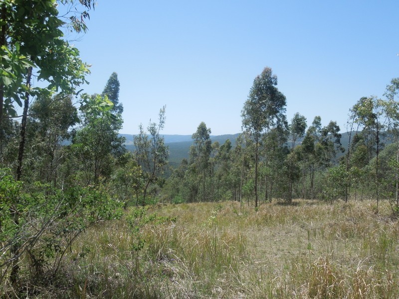 529 Farm Rd, Bonalbo NSW 2469