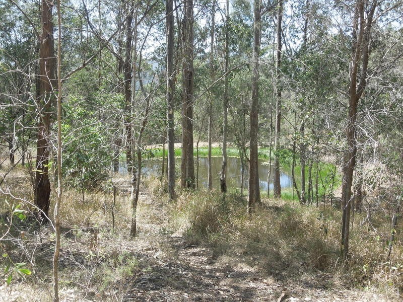 529 Farm Rd, Bonalbo NSW 2469