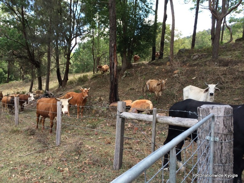 3250 Summerland way, Kyogle NSW 2474