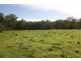Lot 1 Iron Pot Creek Road, Kyogle NSW 2474