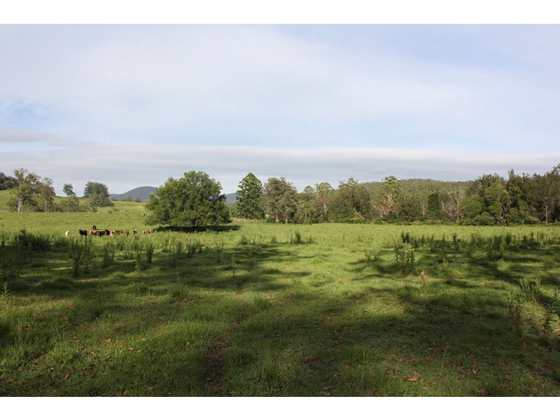 Lot 1 Iron Pot Creek Road, Kyogle NSW 2474