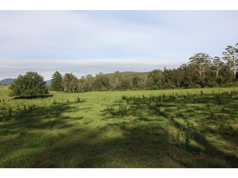 Lot 1 Iron Pot Creek Road, Kyogle NSW 2474