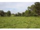 Lot 1 Iron Pot Creek Road, Kyogle NSW 2474