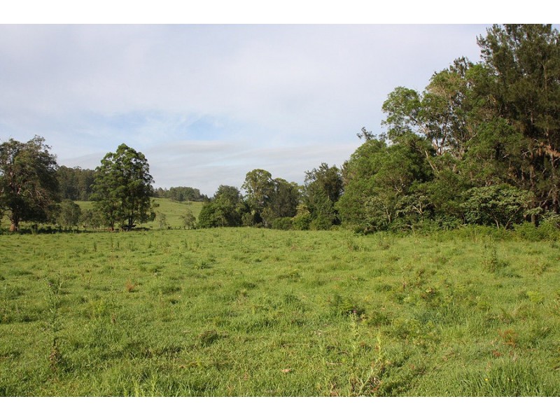 Lot 1 Iron Pot Creek Road, Kyogle NSW 2474