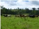 5333 Bruxner Highway, Mummulgum NSW 2469