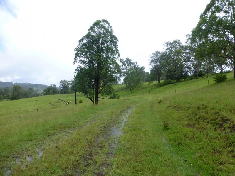 5333 Bruxner Highway, Mummulgum NSW 2469