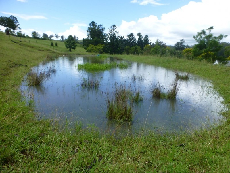 5333 Bruxner Highway, Mummulgum NSW 2469