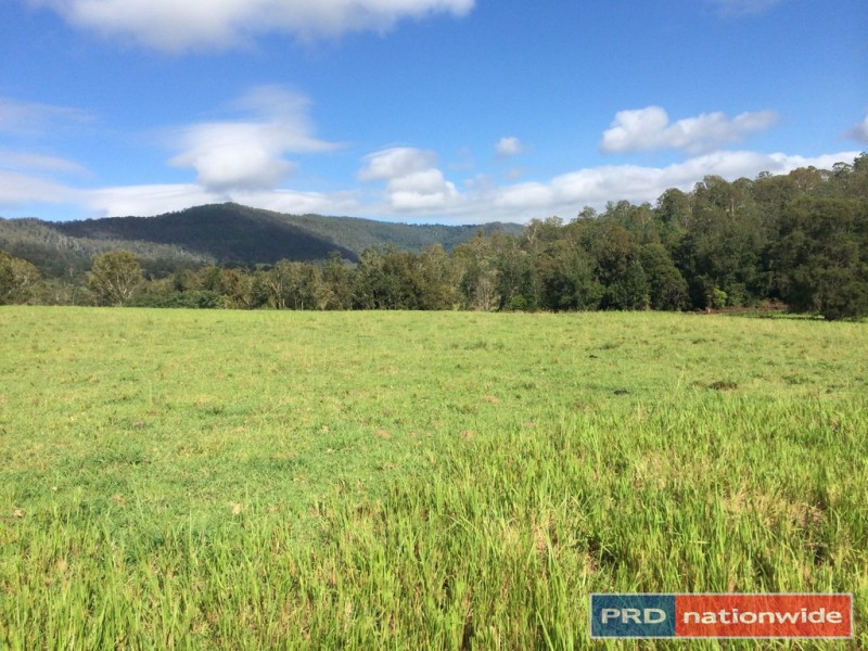 417 Roseberry Creek Road, Kyogle NSW 2474