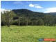 417 Roseberry Creek Road, Kyogle NSW 2474