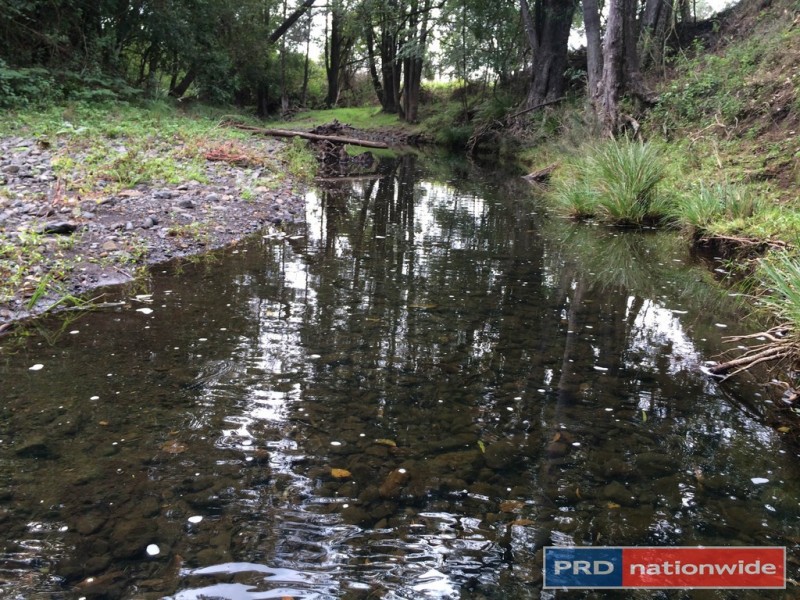 417 Roseberry Creek Road, Kyogle NSW 2474