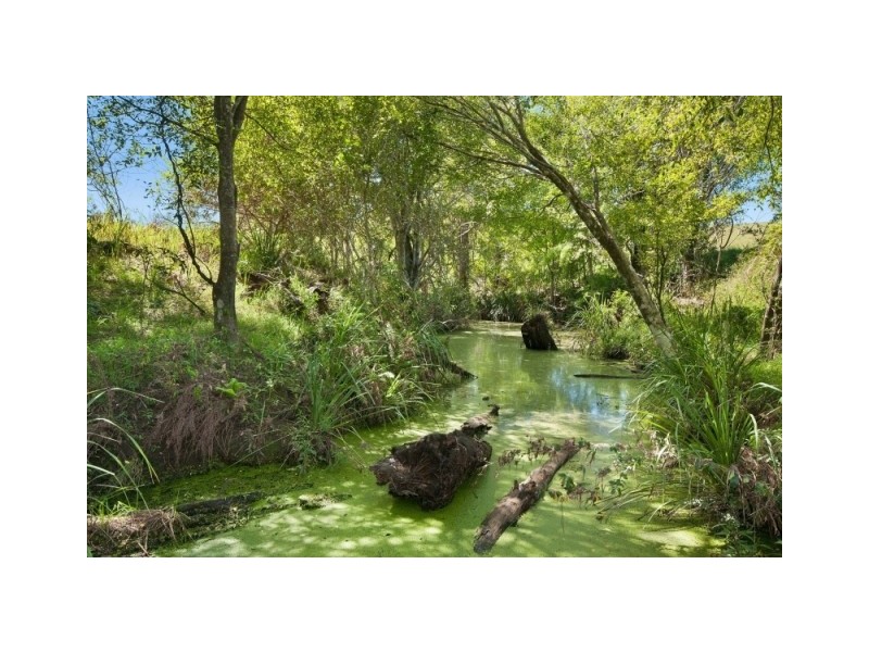 642 Ettrick Road, Kyogle NSW 2474
