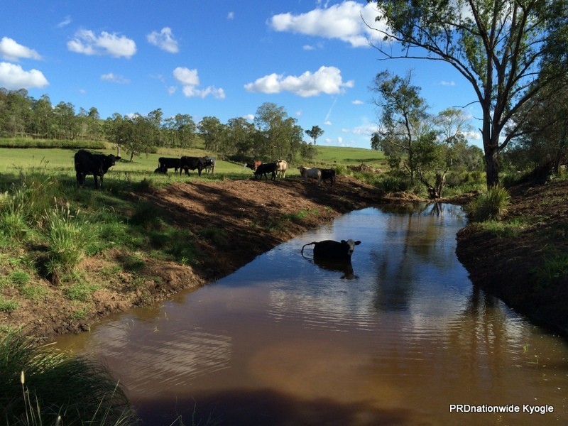 642 Ettrick Road, Kyogle NSW 2474