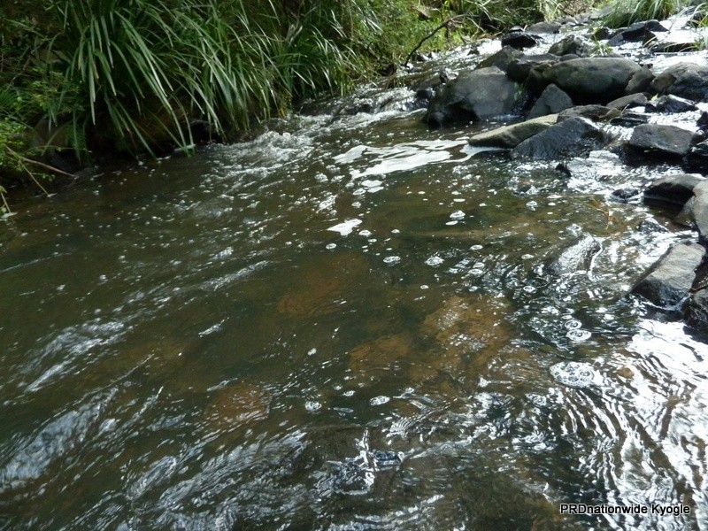 929 Stony Chute, Stony Chute NSW 2480