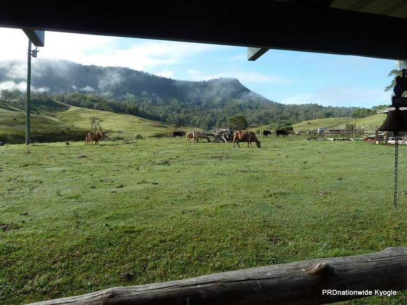 46 Lynches Creek Road, Kyogle NSW 2474