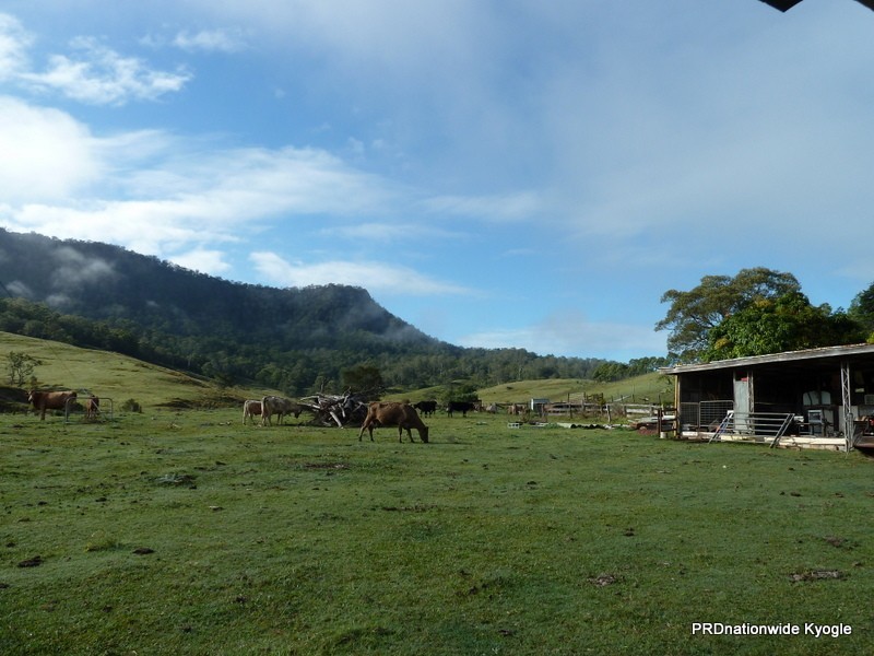 46 Lynches Creek Road, Kyogle NSW 2474