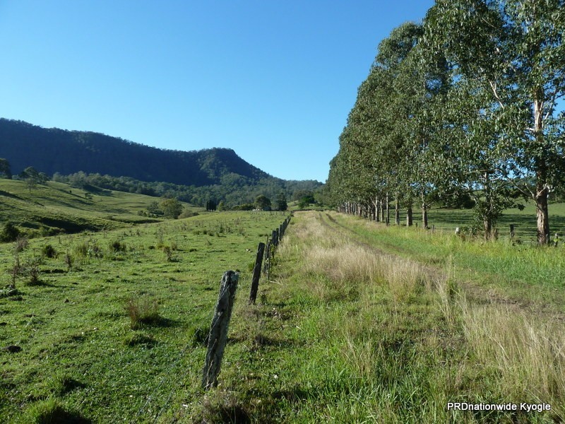 46 Lynches Creek Road, Kyogle NSW 2474