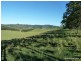 46 Lynches Creek Road, Kyogle NSW 2474
