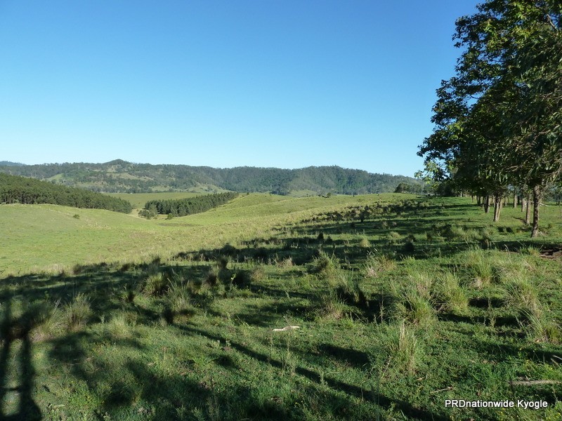 46 Lynches Creek Road, Kyogle NSW 2474