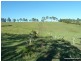 46 Lynches Creek Road, Kyogle NSW 2474