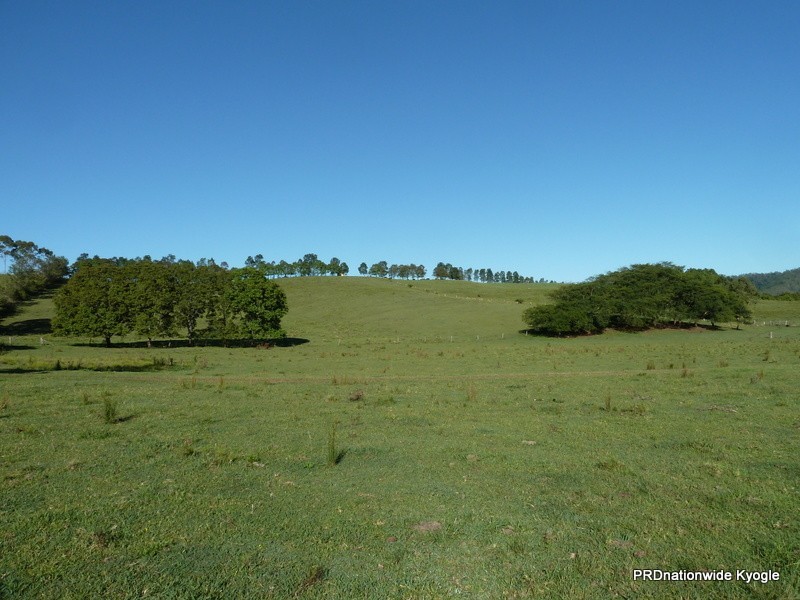 46 Lynches Creek Road, Kyogle NSW 2474