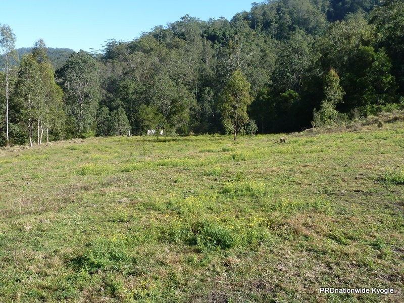 20 Levers Road, Kyogle NSW 2474
