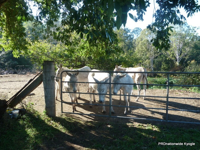 20 Levers Road, Kyogle NSW 2474