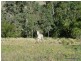 20 Levers Road, Kyogle NSW 2474