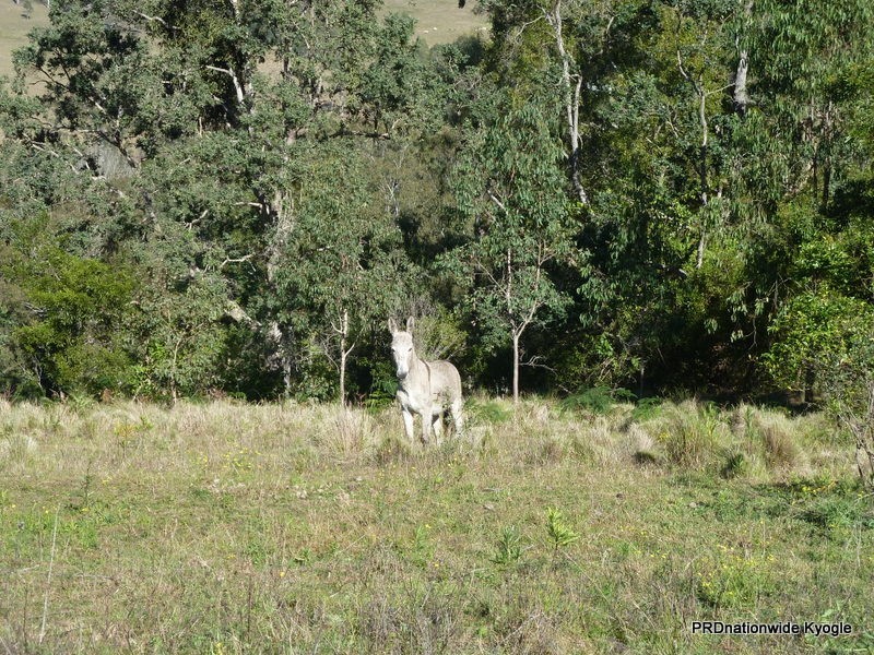 20 Levers Road, Kyogle NSW 2474