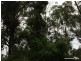 98 Campbell Road, Stony Chute NSW 2480