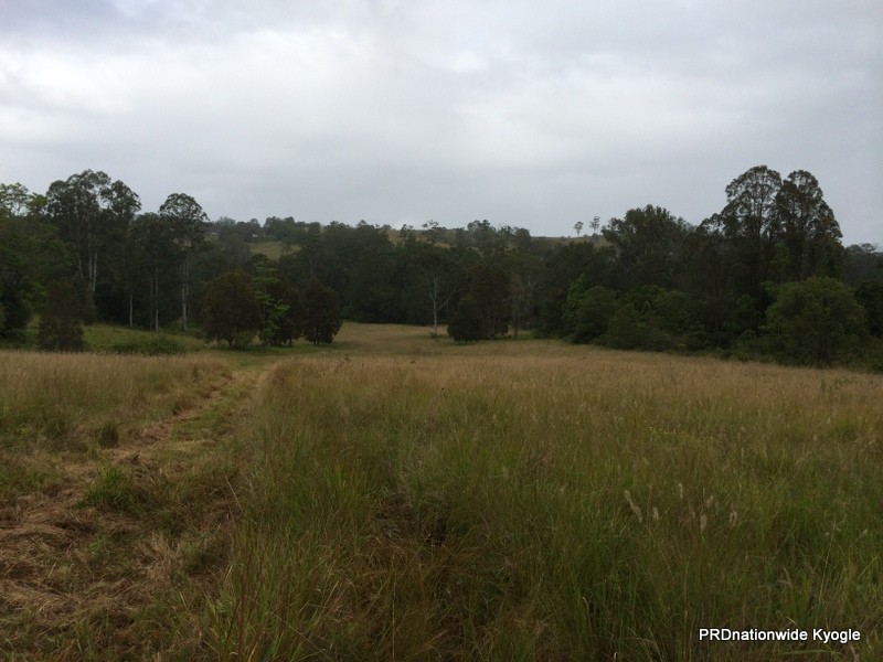 98 Campbell Road, Stony Chute NSW 2480
